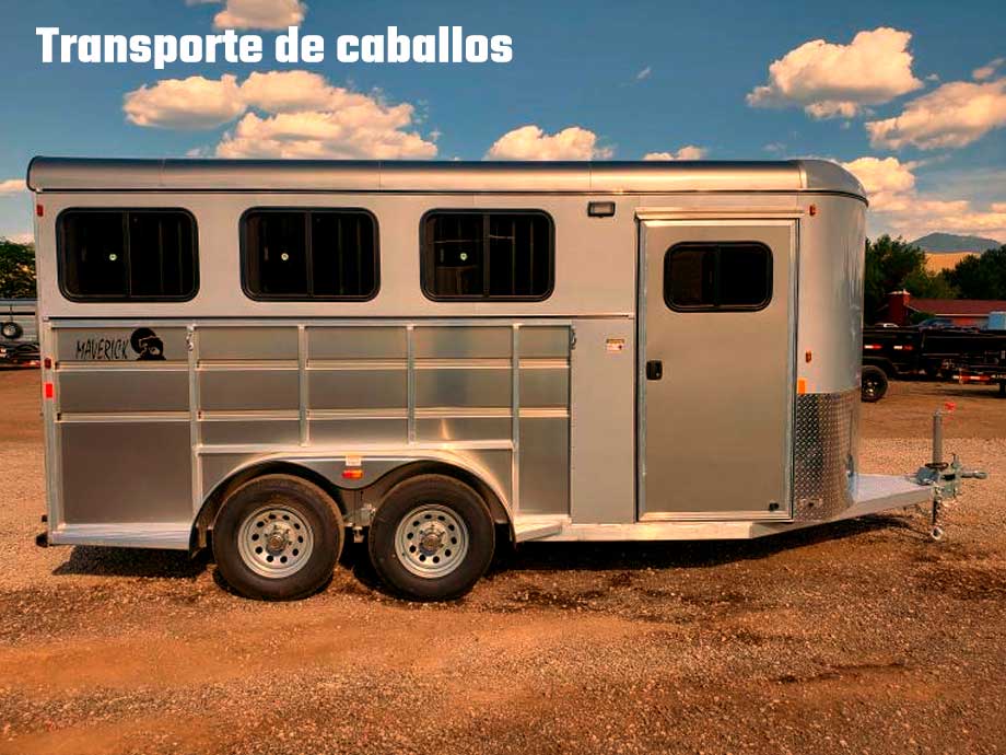 transporte de caballos transporte de caballos