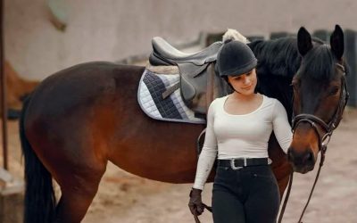 Cuidado y Mantenimiento del Equipo de Equitación