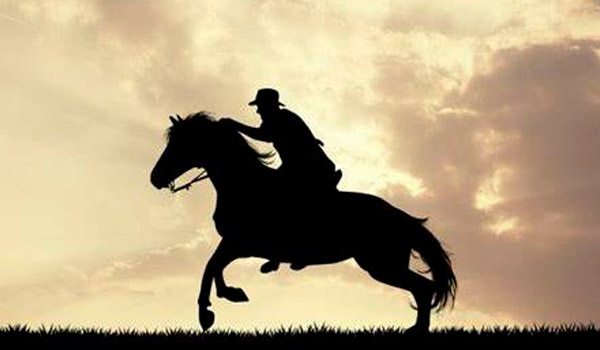 sillas vaqueras de montar a caballo sillas vaqueras de montar a caballo